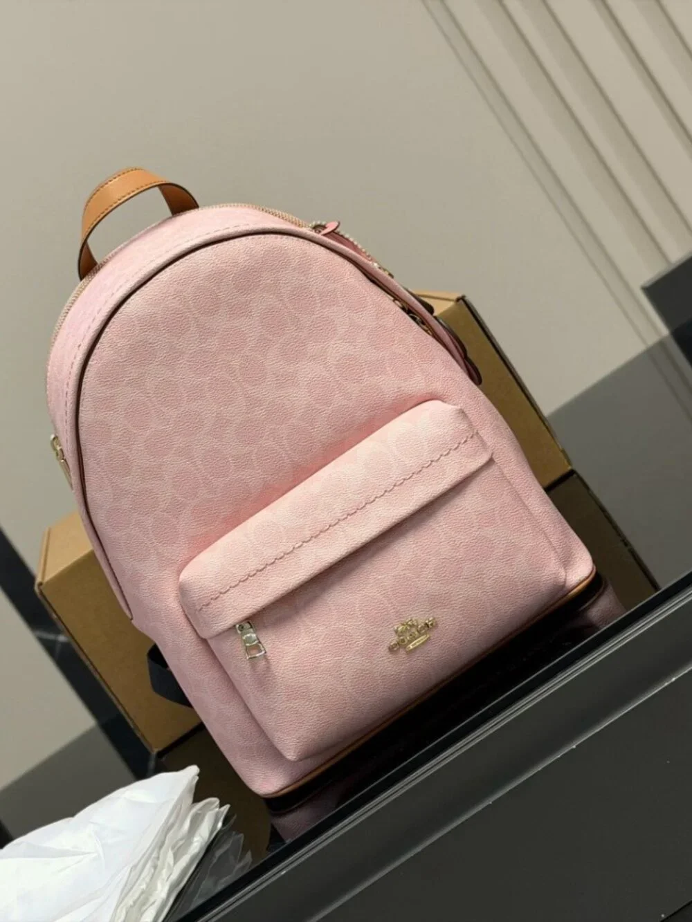 Coach Backpack Pink Signature Coated Canvas Gold Hardware Women’s